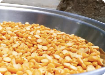 Ingredientes Precisos