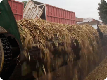 Automatización mesas alimentadoras