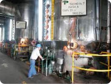 Automatización tachos